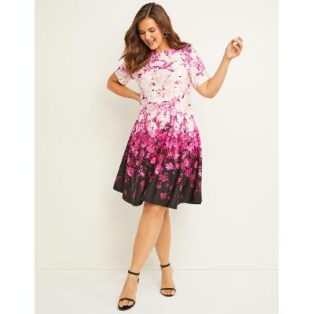NWT 18/20 Lane Bryant Fit & Flair Scuba Dress